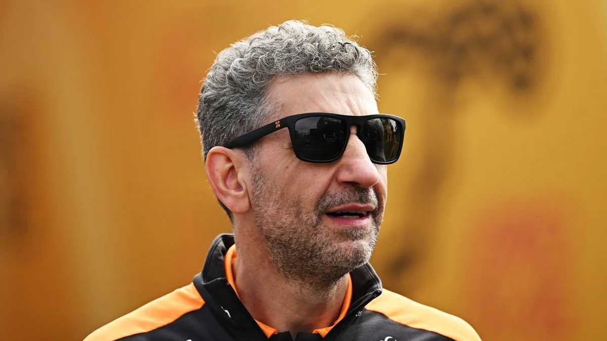 Stella Says F1 Must Avoid Sepang Repeat But Accept Glitches